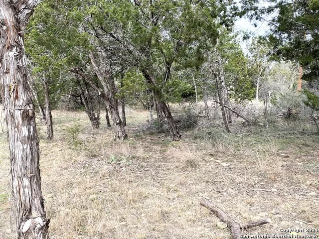 LOTS 28-29 LAKESHORE Bandera, TX 78003