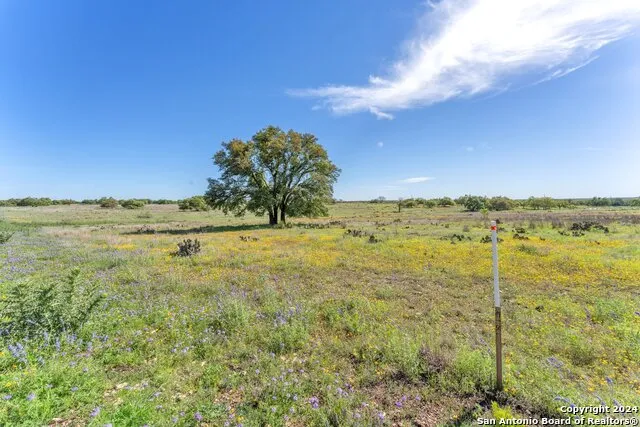 167 NW Nantan Ln Harper, TX 78631