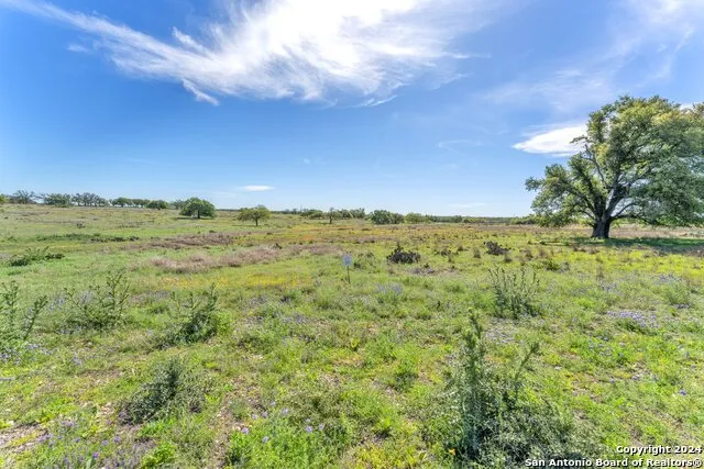 167 NW Nantan Ln Harper, TX 78631