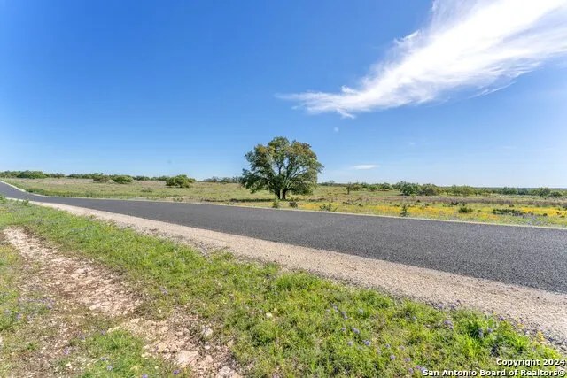 167 NW Nantan Ln Harper, TX 78631