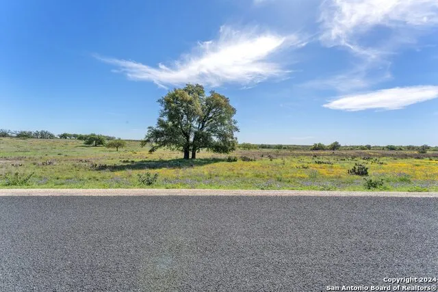 167 NW Nantan Ln Harper, TX 78631