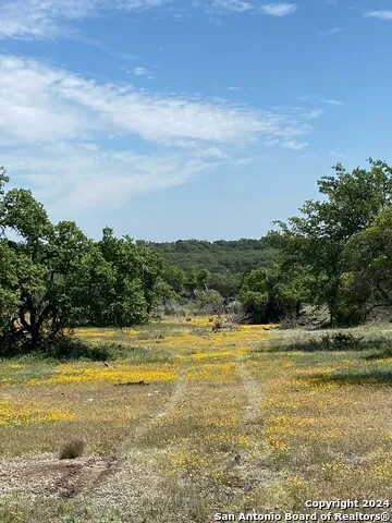 TBD TAURUS LN Taurus Junction, TX 76849