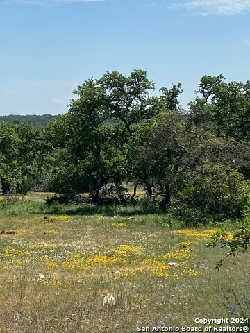 TBD TAURUS LN Taurus Junction, TX 76849