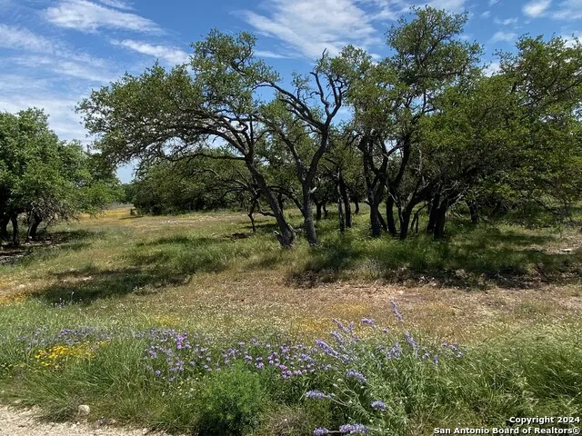 TBD TAURUS LN Taurus Junction, TX 76849