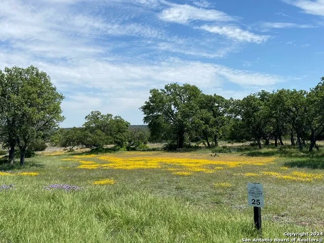 TBD TAURUS LN Taurus Junction, TX 76849