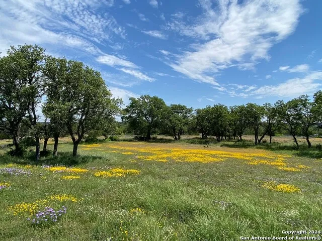 TBD TAURUS LN Taurus Junction, TX 76849