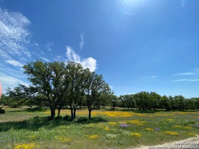TBD TAURUS LN Taurus Junction, TX 76849