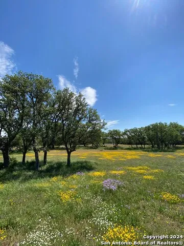 TBD TAURUS LN Taurus Junction, TX 76849