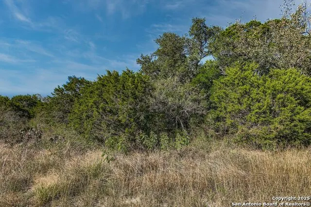 LOT 229 CR 2748 Mico, TX 78056