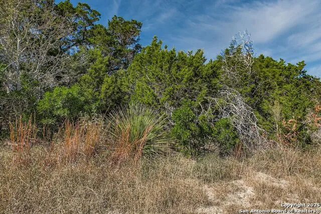 LOT 229 CR 2748 Mico, TX 78056