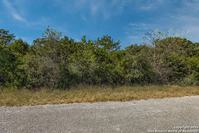 LOT 229 CR 2748 Mico, TX 78056