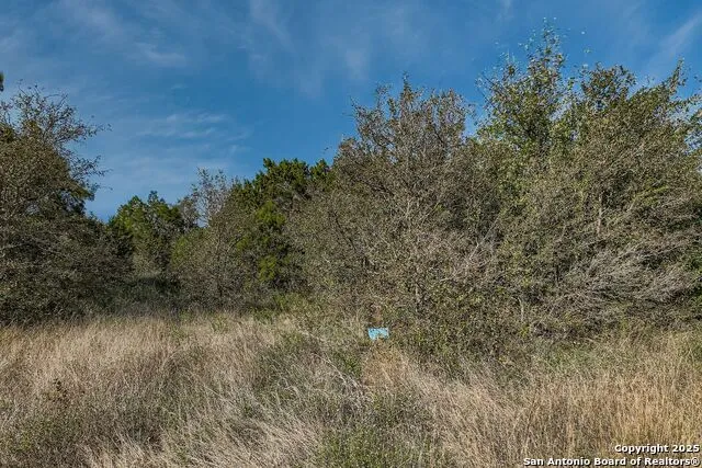 LOT 229 CR 2748 Mico, TX 78056