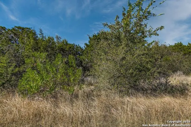 LOT 229 CR 2748 Mico, TX 78056