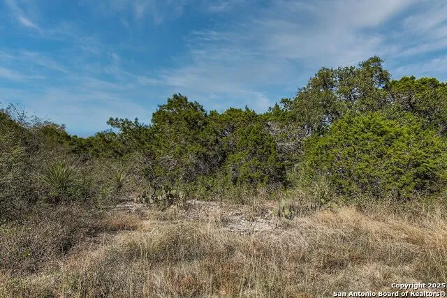 LOT 229 CR 2748 Mico, TX 78056