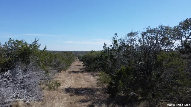 2135 Pr 3214 Dhanis, TX 78850