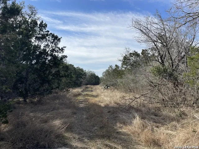 2135 Pr 3214 Dhanis, TX 78850