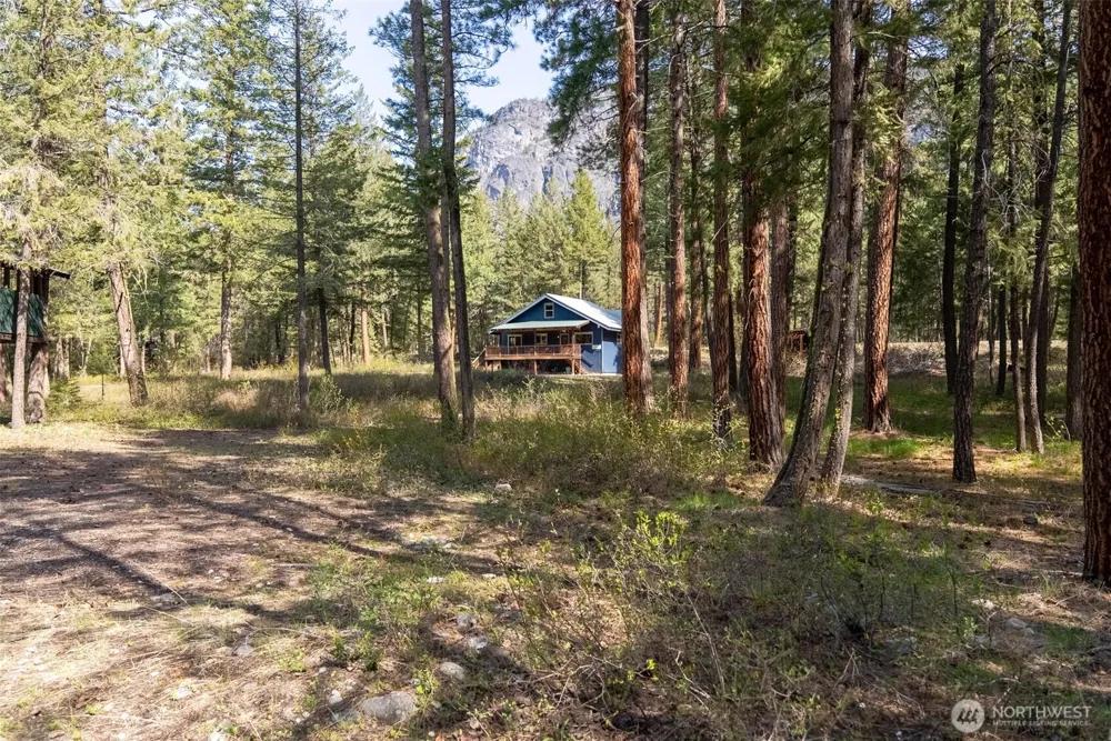 225 C Lost River Road Mazama, WA 98833