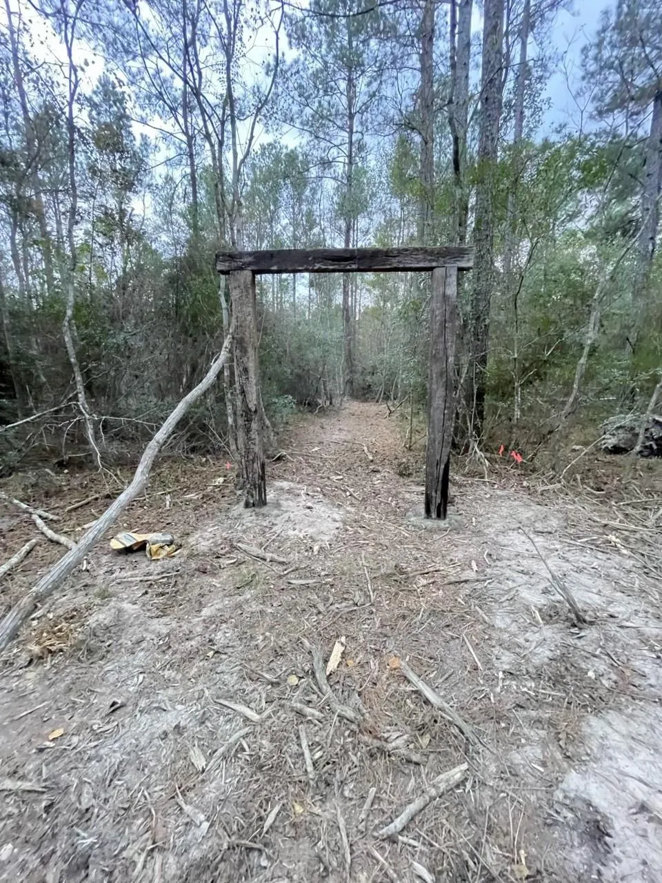 Black Cat Road Sour Lake, TX 77659
