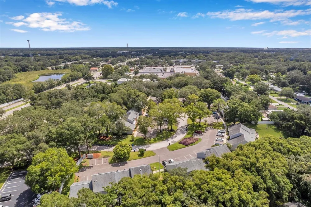 14809 WINDING CREEK COURT Tampa, FL 33613
