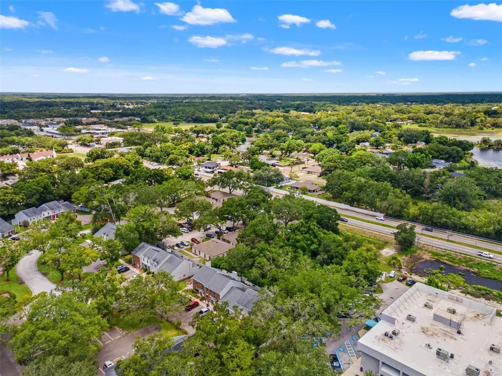 14809 WINDING CREEK COURT Tampa, FL 33613