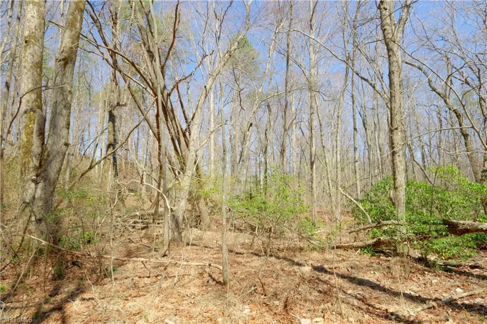 6 Old Mill Road Pinnacle, NC 27043