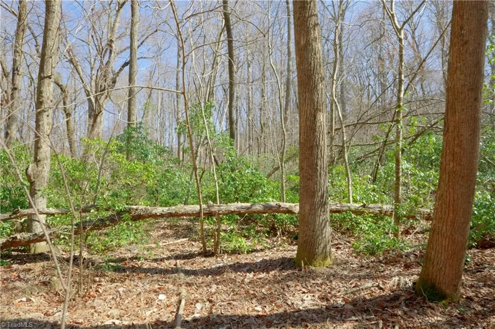 6 Old Mill Road Pinnacle, NC 27043