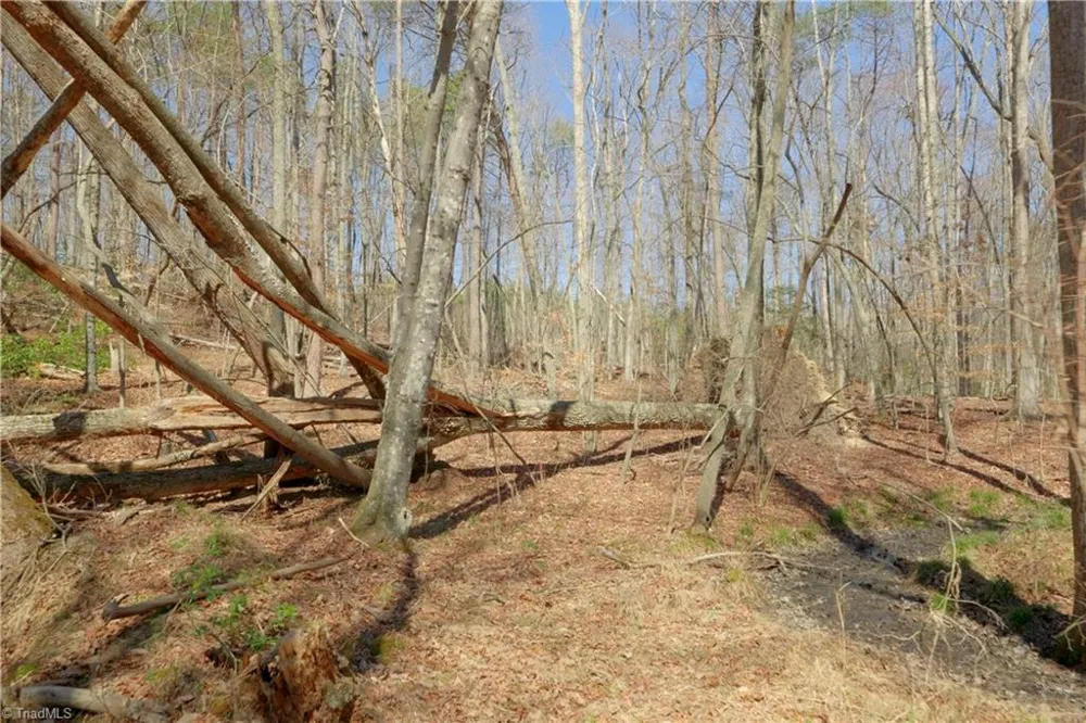 6 Old Mill Road Pinnacle, NC 27043
