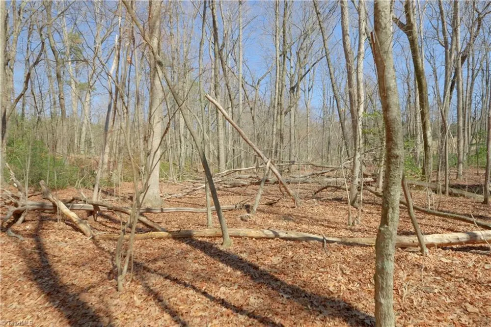 6 Old Mill Road Pinnacle, NC 27043