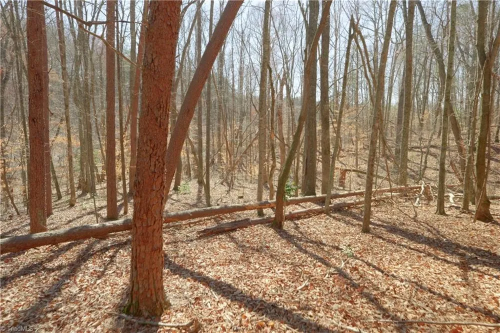 6 Old Mill Road Pinnacle, NC 27043