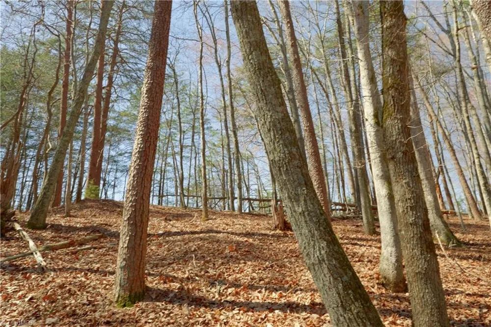 6 Old Mill Road Pinnacle, NC 27043