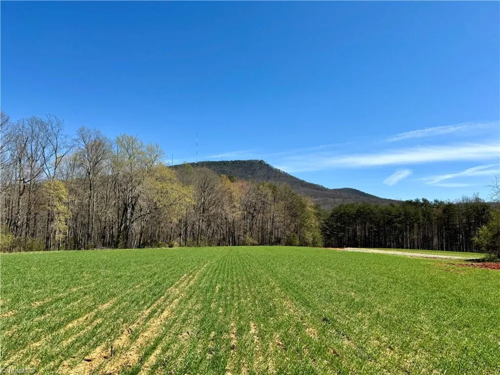 6 Old Mill Road Pinnacle, NC 27043