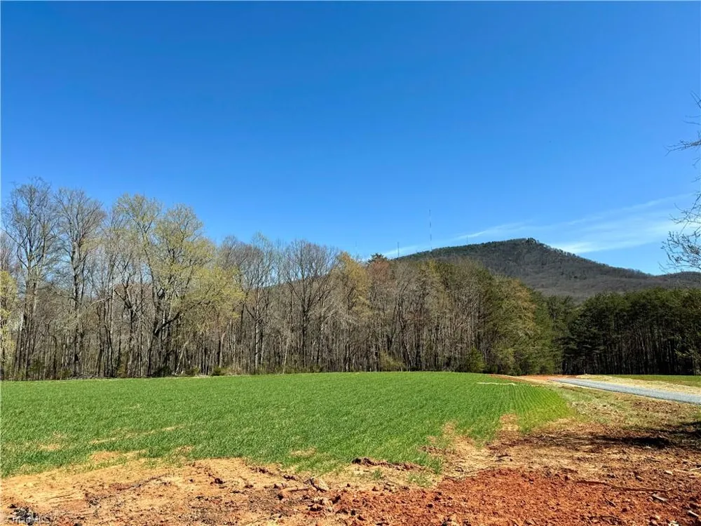 6 Old Mill Road Pinnacle, NC 27043