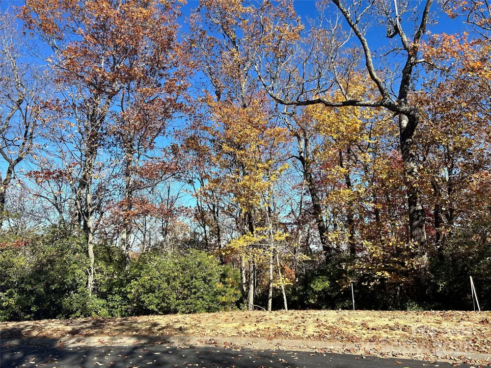 1114 Mills River Way Horse Shoe, NC 28742