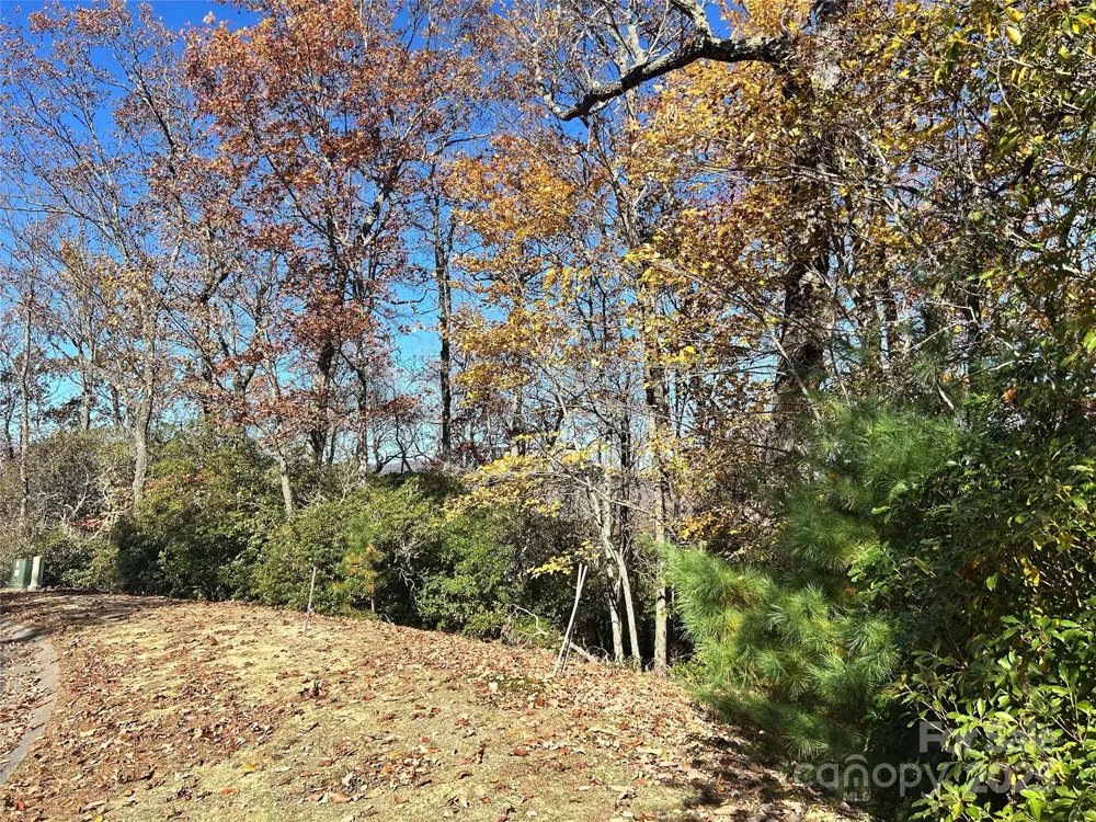 1114 Mills River Way Horse Shoe, NC 28742