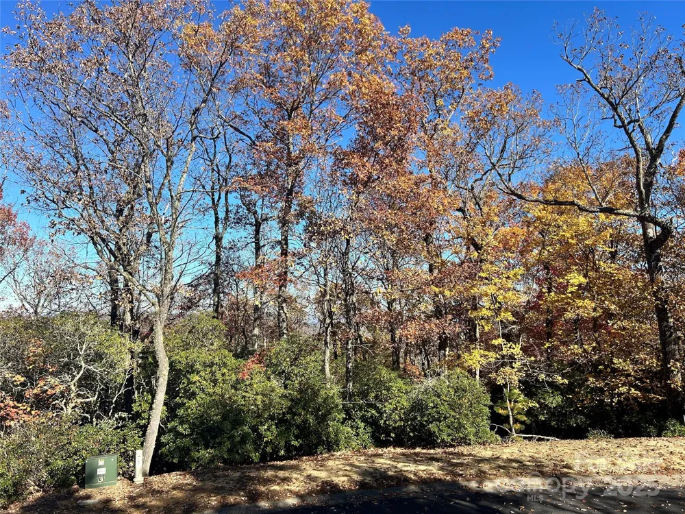 1114 Mills River Way Horse Shoe, NC 28742
