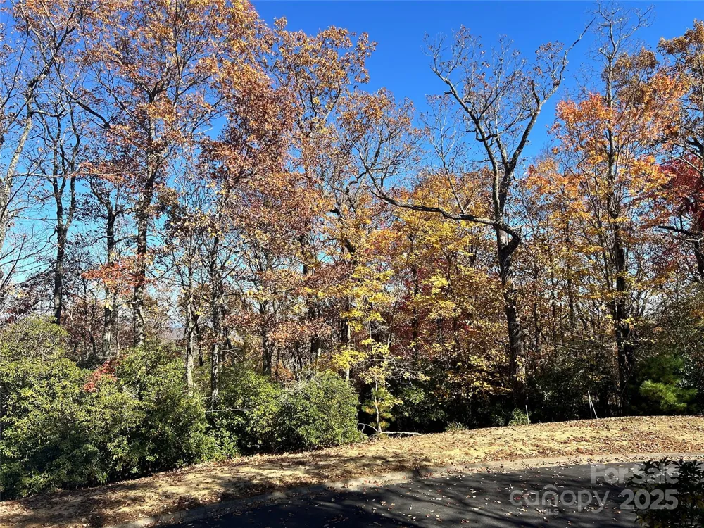 1114 Mills River Way Horse Shoe, NC 28742