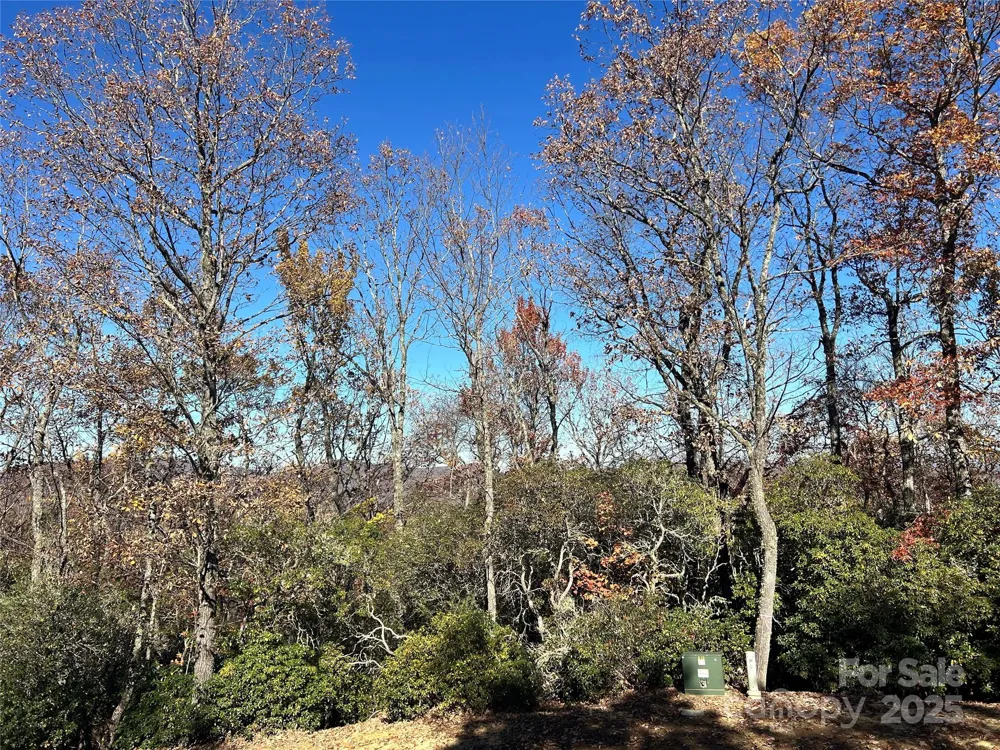 1114 Mills River Way Horse Shoe, NC 28742