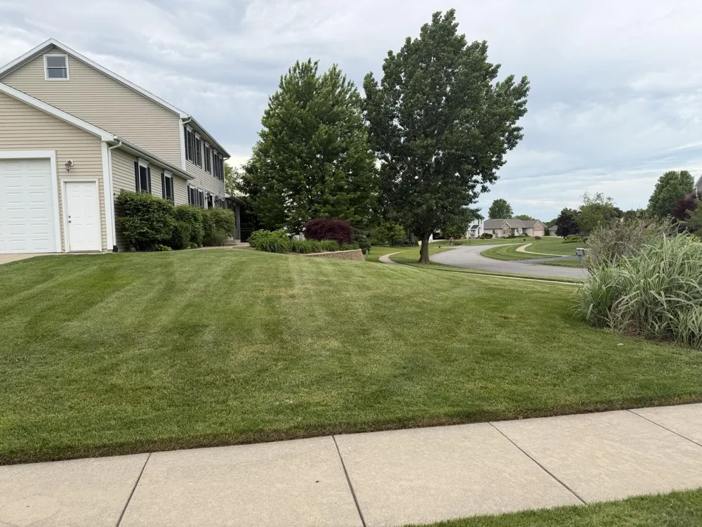 7809 Golf Meadows Drive SE Caledonia Township, MI 49316
