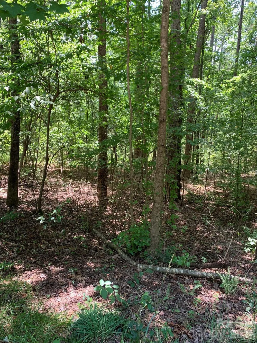 220 Lakewood Court New London, NC 28127
