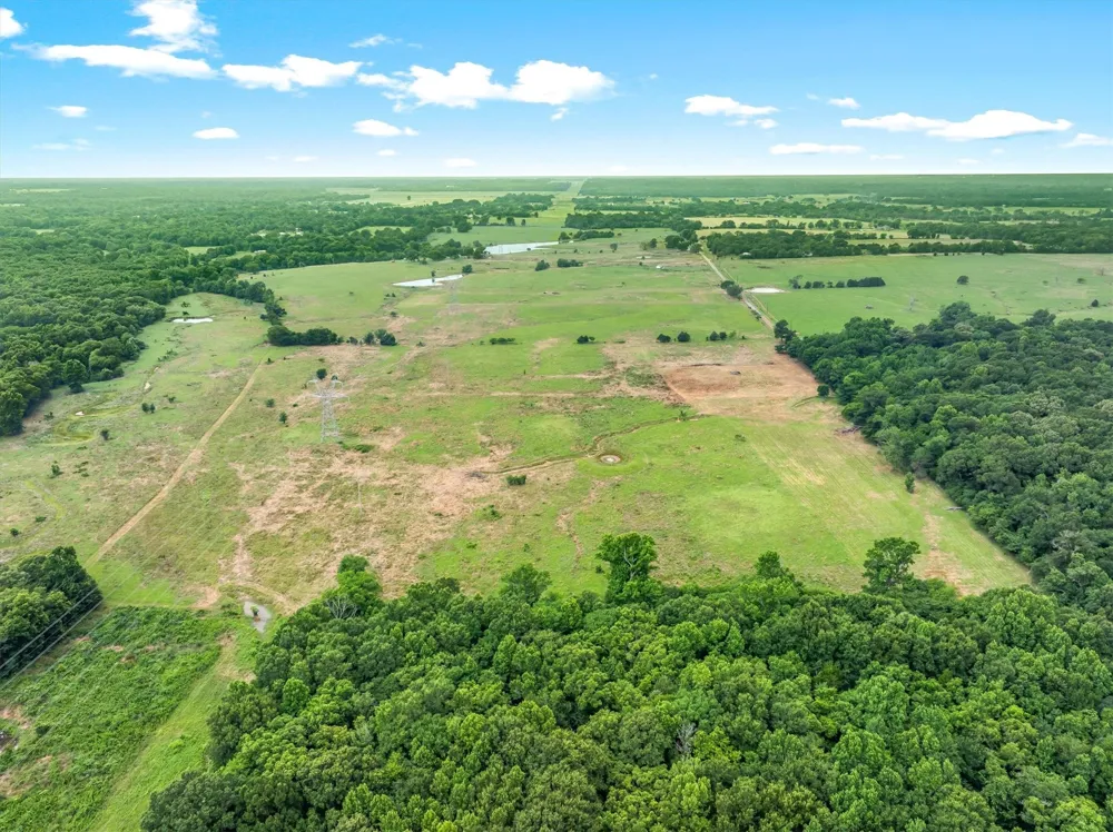 40 VZ County Road 4503 Ben Wheeler, TX 75754