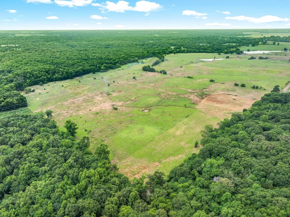 40 VZ County Road 4503 Ben Wheeler, TX 75754
