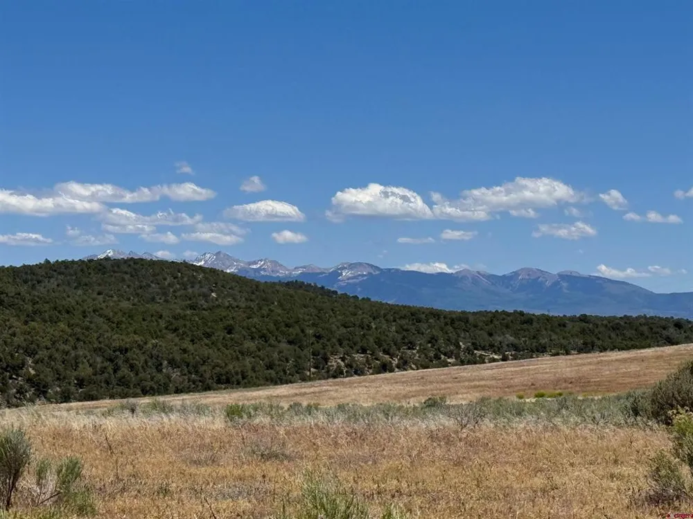 29373 Highway 184 Dolores, CO 81323