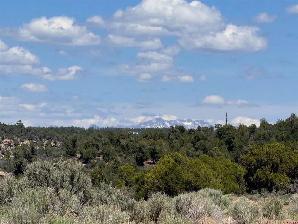 29373 Highway 184 Dolores, CO 81323