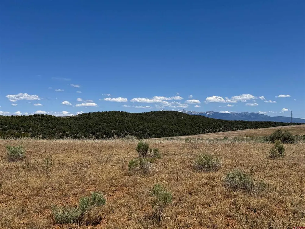 29373 Highway 184 Dolores, CO 81323
