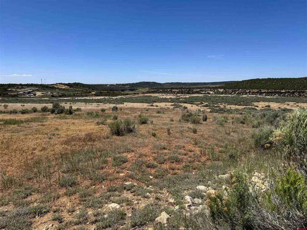 29373 Highway 184 Dolores, CO 81323