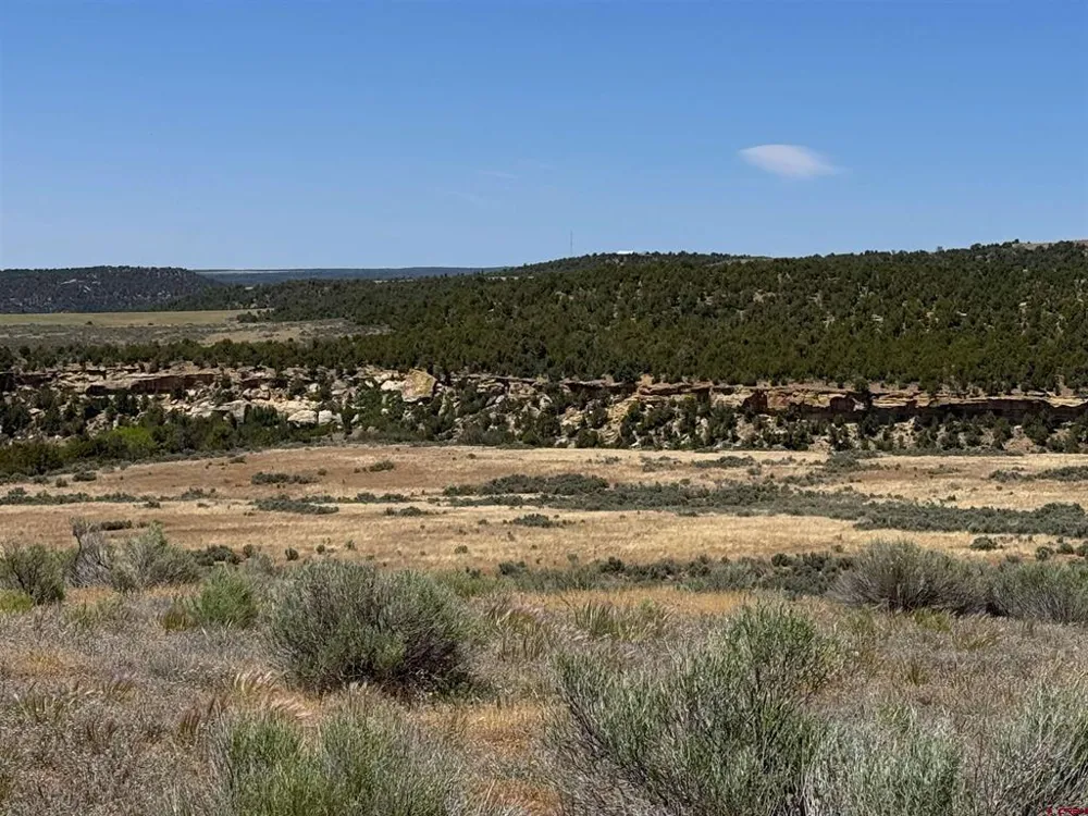 29373 Highway 184 Dolores, CO 81323