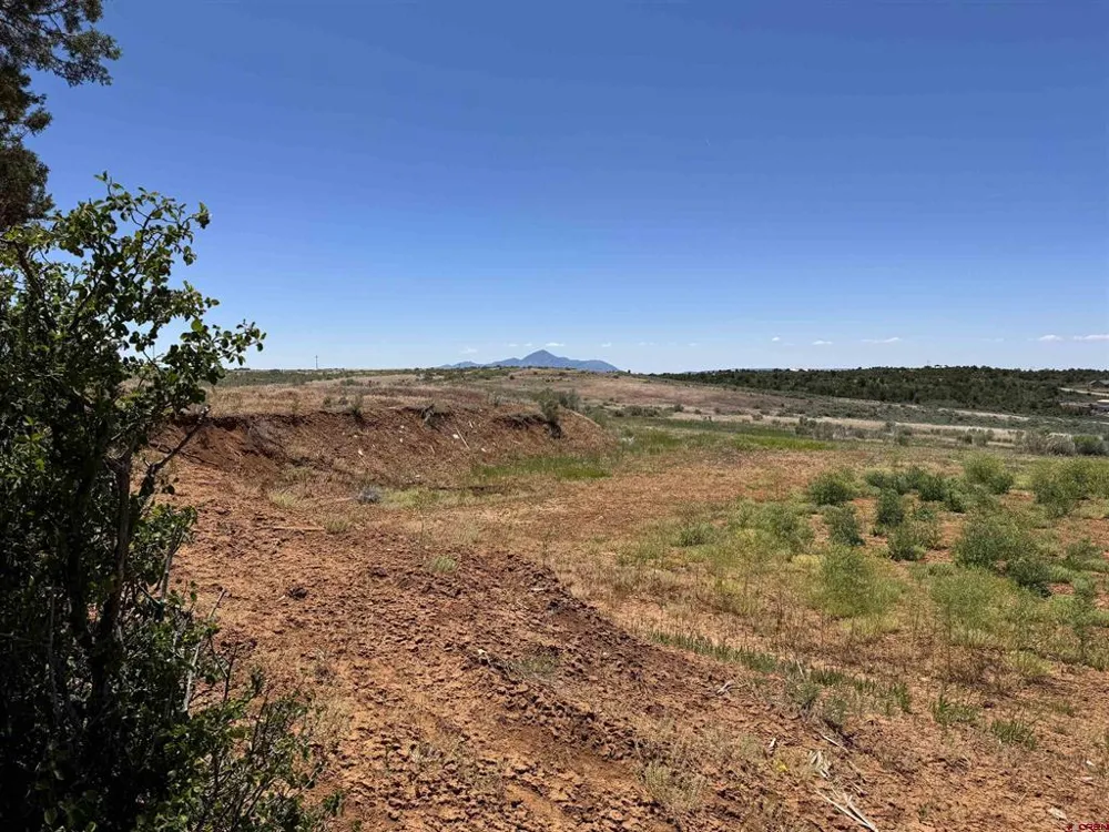 29373 Highway 184 Dolores, CO 81323
