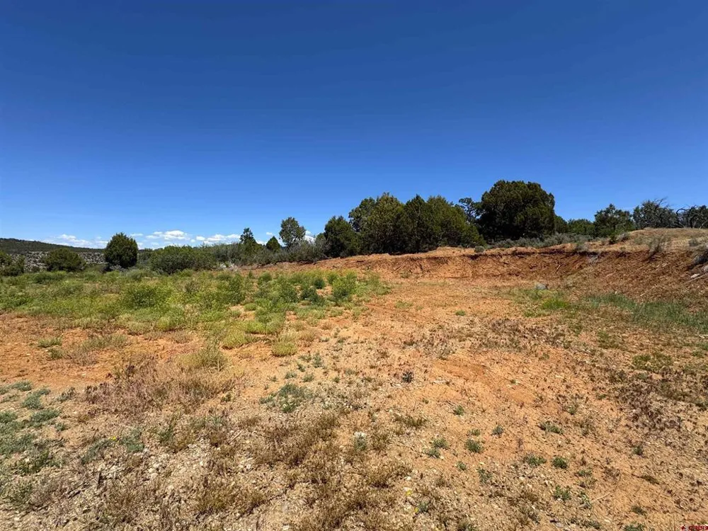 29373 Highway 184 Dolores, CO 81323