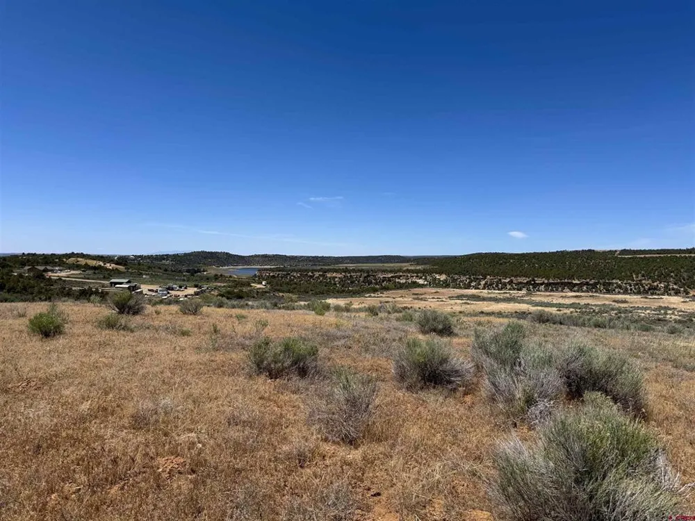 29373 Highway 184 Dolores, CO 81323