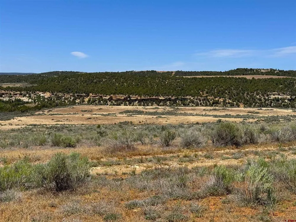 29373 Highway 184 Dolores, CO 81323